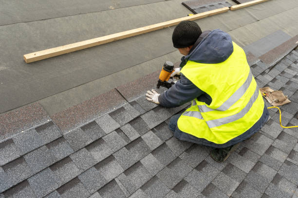 Best Roof Moss and Algae Removal  in Stokesdale, NC